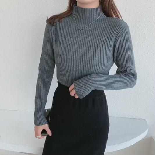 Elegant Basic Knitted Womens Sweater -Turtleneck Long Sleeve Casual Slim