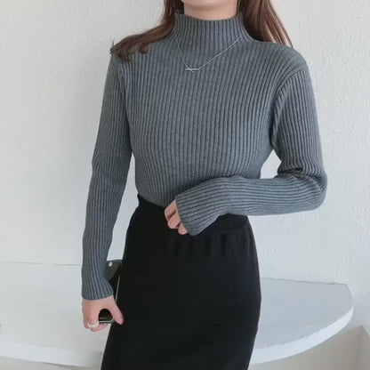 Elegant Basic Knitted Womens Sweater -Turtleneck Long Sleeve Casual Slim